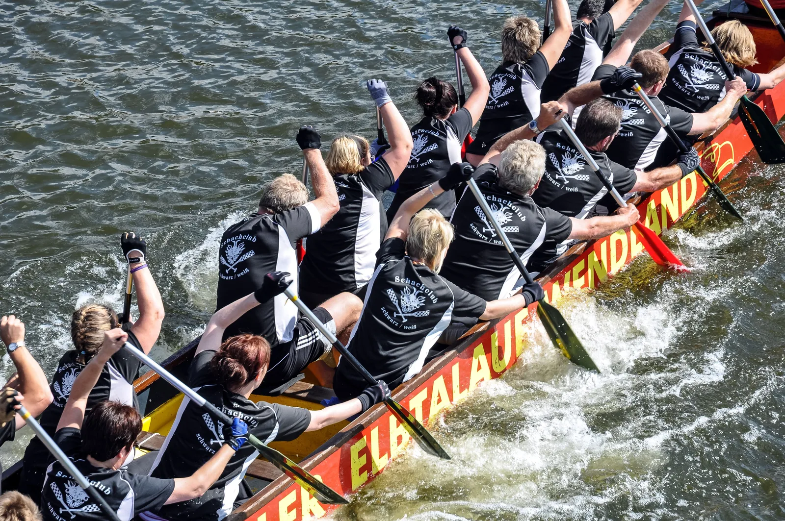 A dragon boat team rowing in perfect sync – a symbol of team spirit and collaboration