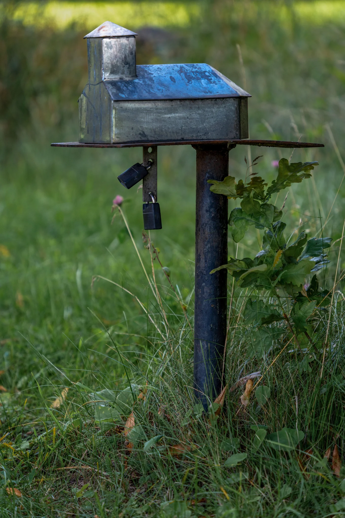 Briefkasten in der Natur – Sinnbild für persönlichen Kontakt und Austausch